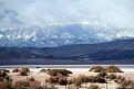 Columbus Salt Marsh & Sierra Nevada Mountains along Hwy 95 west of Tonopah, NV
IMG 3610 2688 edited 1 Colu